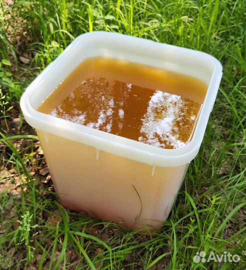 Опт. мёд натуральный алтайский min 16kg