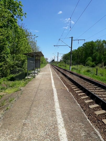 Участок 5 сот. (СНТ, ДНП)