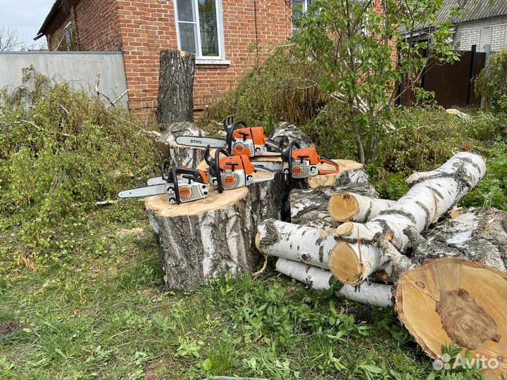 Спил деревьев