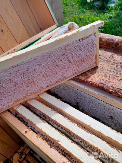 Цветочно-луговой мёд 2023 года