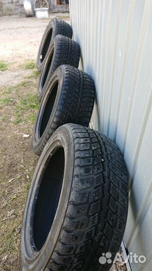 Roadstone Winguard 231 205/55 R16 91T