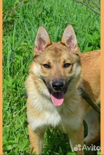 Классная девочка подросток