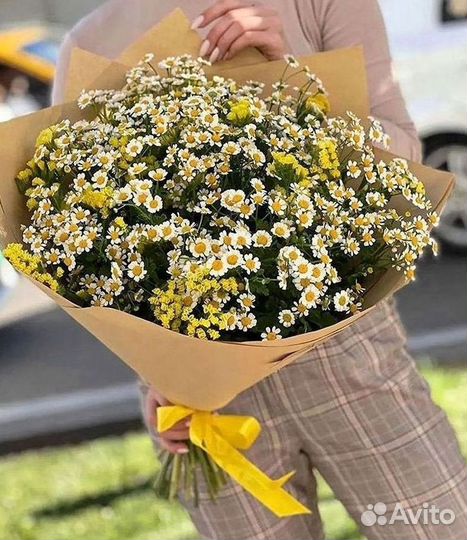 Ромашки Пионы Розы Доставка