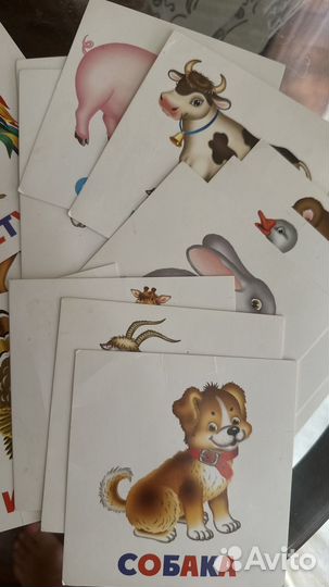 Карточки птицы, дикие и домашние животные