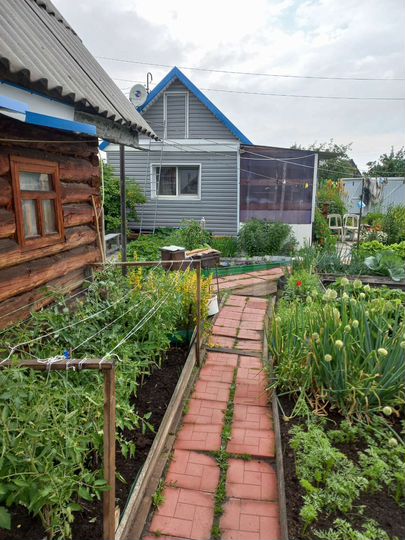 Дача 31 м² на участке 5 сот.