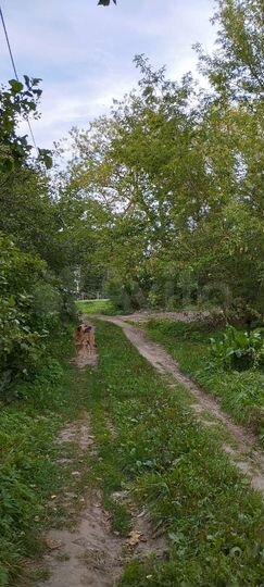 Участок 9 сот. (СНТ, ДНП)