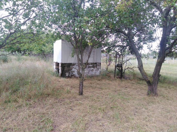 Участок 12,5 сот. (СНТ, ДНП)