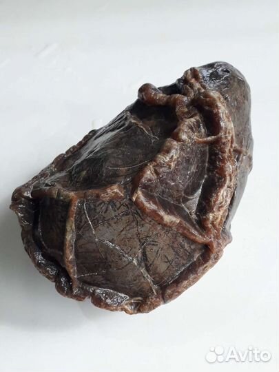 Септария симбирцита