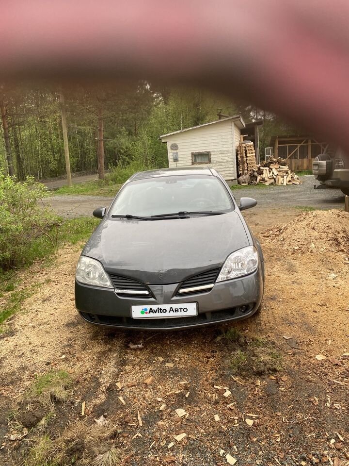 Nissan Primera: фото из отзыва