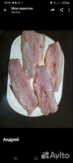 Рыба пелядь