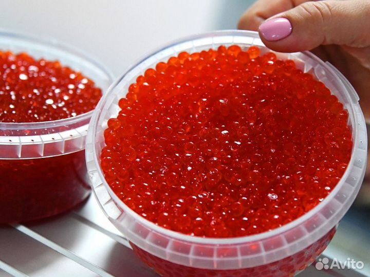 Икра из Карелии