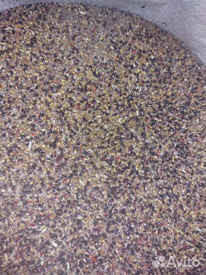 Зерноотходы