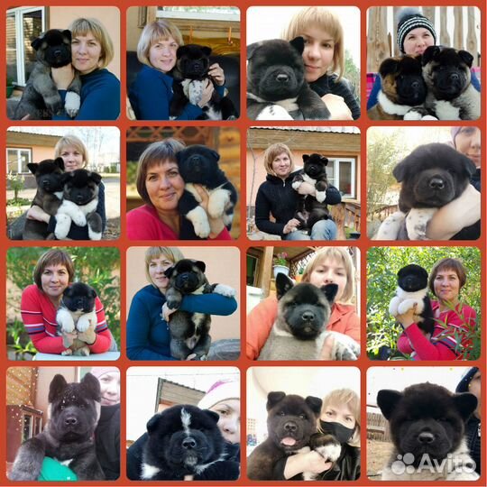 Шикарные от емпресс фике