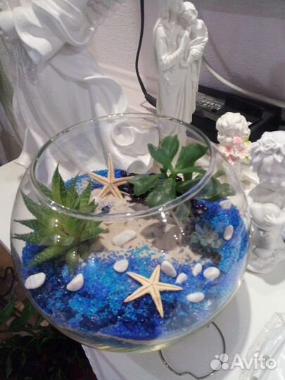 Флорариум из суккулентов