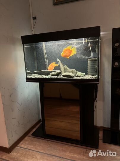 Аквариум с тумбой 150 литров
