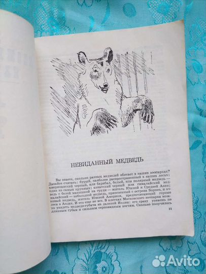 За вольерами зоопарков (1974)