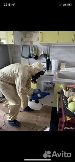 Частный дезинфектор