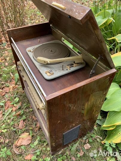 Радиола ригонда