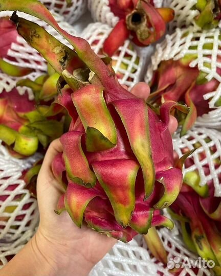 Экзотические фрукты оптом из Таиланда