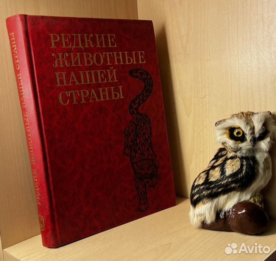 Баккал С.Н., Бардин А.В., Даревский И.С., и др Ред