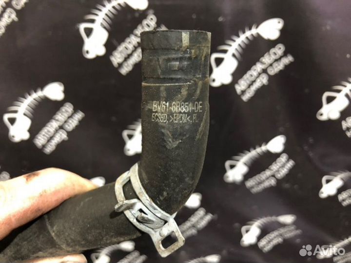 Патрубок охлаждения Ford Focus 3 хетчбэк 1 2011