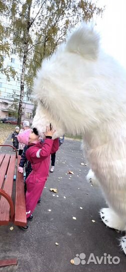 Белый Мишка Панда поздравления