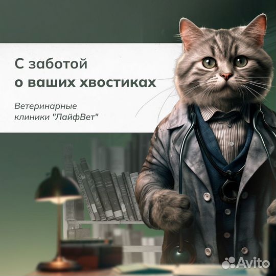 Комплексные ветеринарные услуги, ветклиника