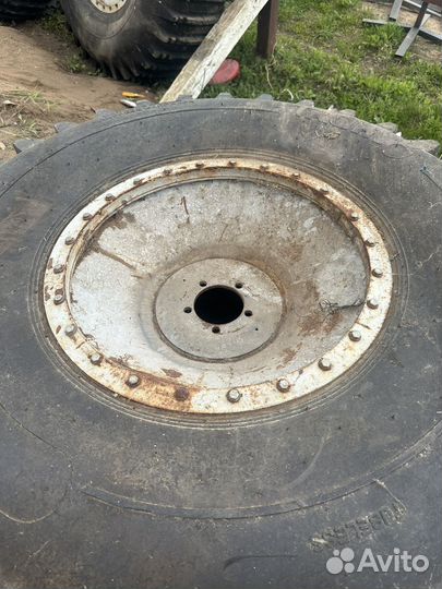 Тром-8 шины на дисках бэдлог