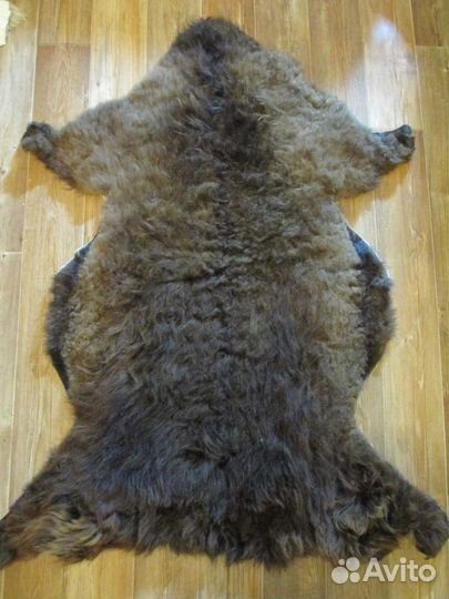 Шкуры волчьего окраса