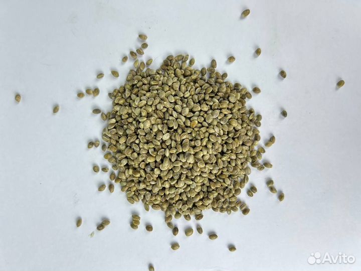 Семена конопли / Высокий отжим