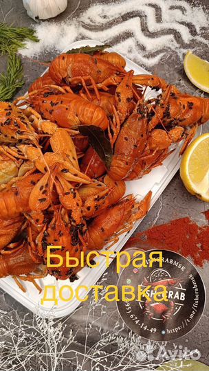 Раки всех размеров и видов