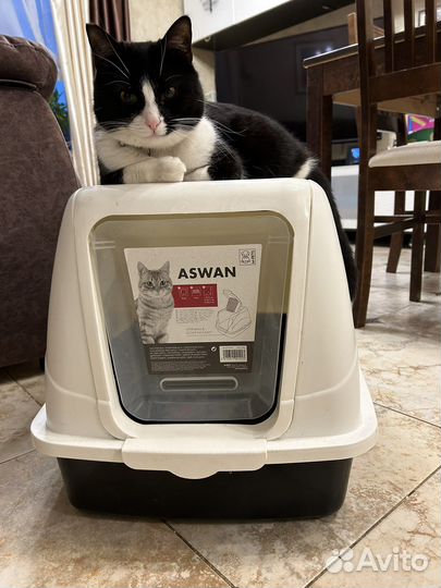 Туалет лоток для кошек