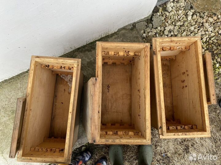 Ящики для пчелопакетов