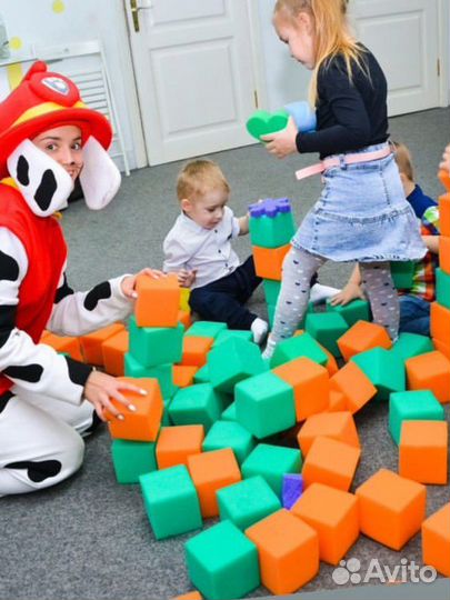 Аниматор/шоу мыльных пузырей/серебряное шоу