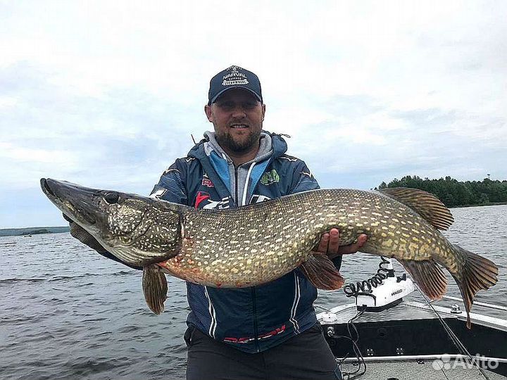Рыбалка с Гидом в Воронеже