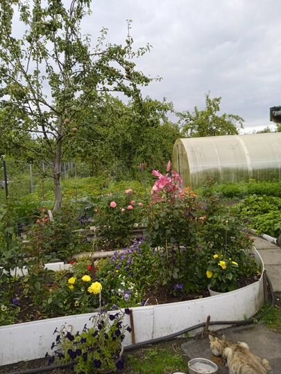 Участок 5 сот. (СНТ, ДНП)