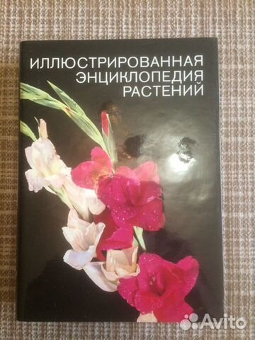 Иллюстрированная энциклопедия рыб