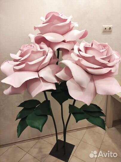 Роза на фотосессиию. Витрины магазина