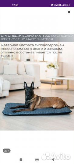 Лежанка для собак Berg р-р XL(110*70*5)