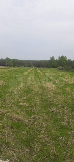 Участок 30 сот. (ИЖС)