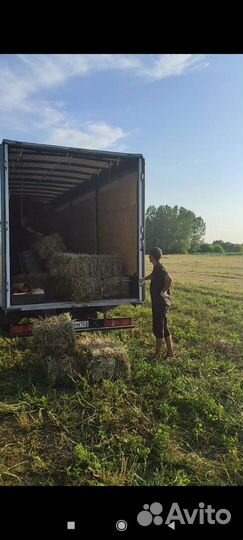 Сено разнотравье