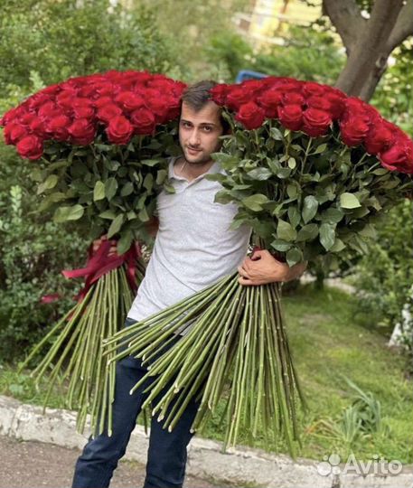 Розы высокие 110см