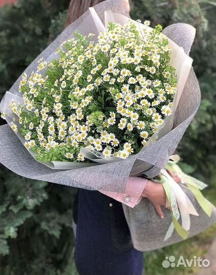 Ромашки букет