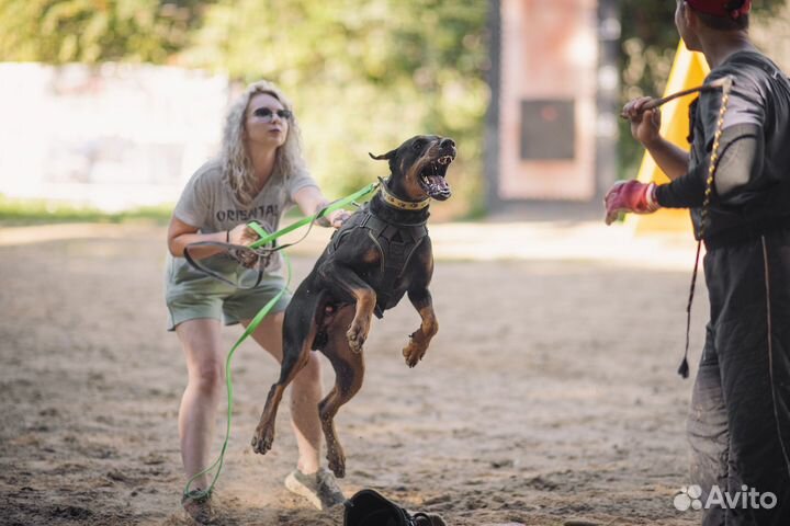 Фотограф анималист