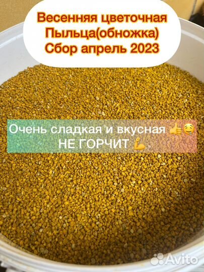 Цветочная пыльца весенняя сбор 2023 года