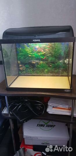 Аквариум
