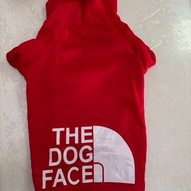 Одежда для собак