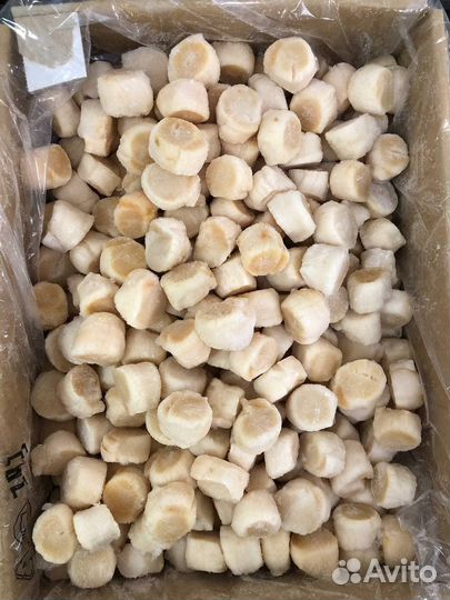 Гребешок Курильский Размер М 80/100