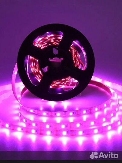 Светодиодная лента розовая 5 м