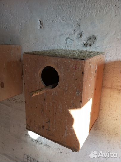 Домик для попугаев